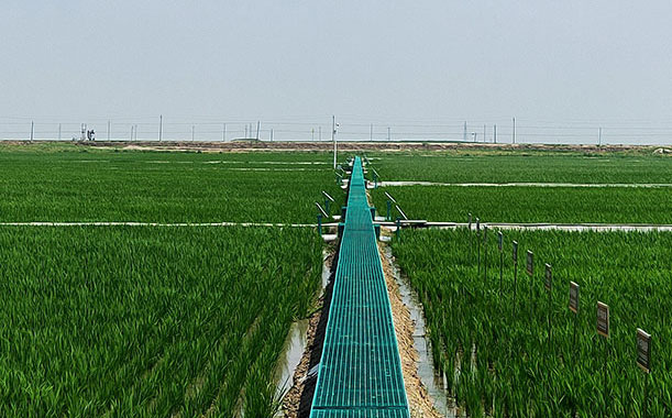 中全七礦建筑有限公司